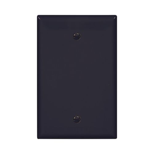 Eaton Blank Wallplate in Black-Single-Gang, Mid-size