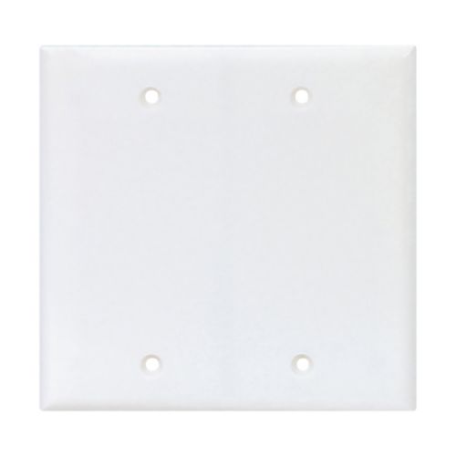 White Eaton two-gang blank wallplate in polycarbonate, mid-size wiring device for electrical outlet cover or switch opening.