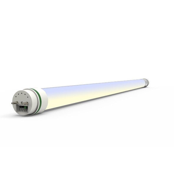 8ft MaxLite LED Double Ended Bypass T8 Lamp with 5CCT, FA8/R17D base, inner coated glass for energy-efficient lighting.