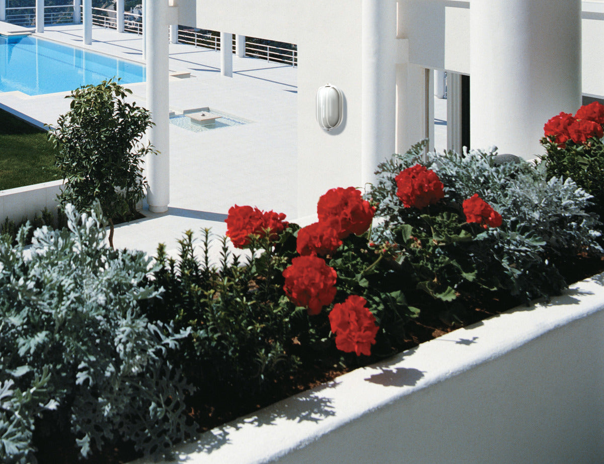 White LED 10" Oval Cage Bulkhead - Green Lighting Wholesale, INC