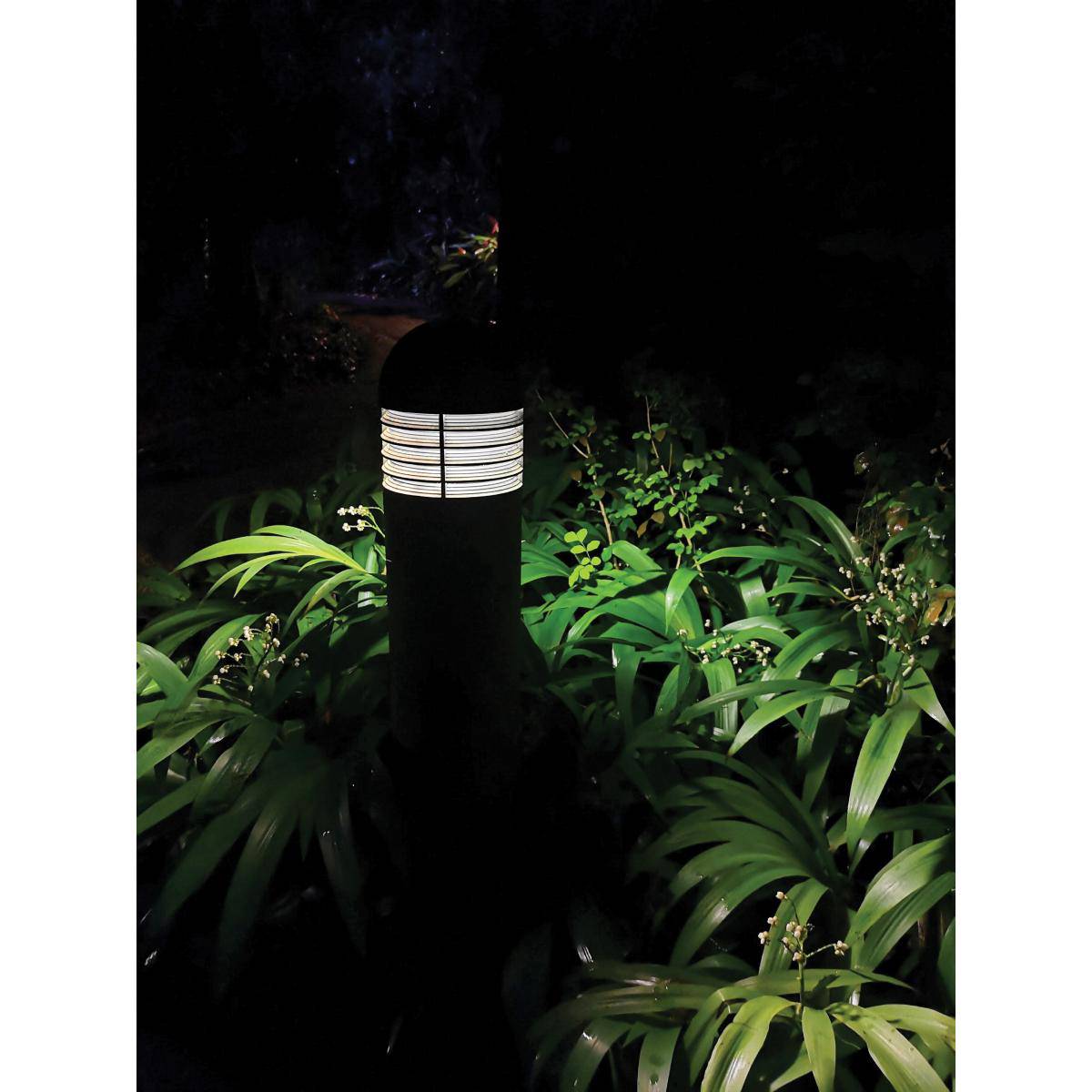 65 Watt; A-Plus 37; LED; CCT Selectable and Wattage Selectable; Extended Mogul base; Type B; Ballast Bypass - Green Lighting Wholesale, INC