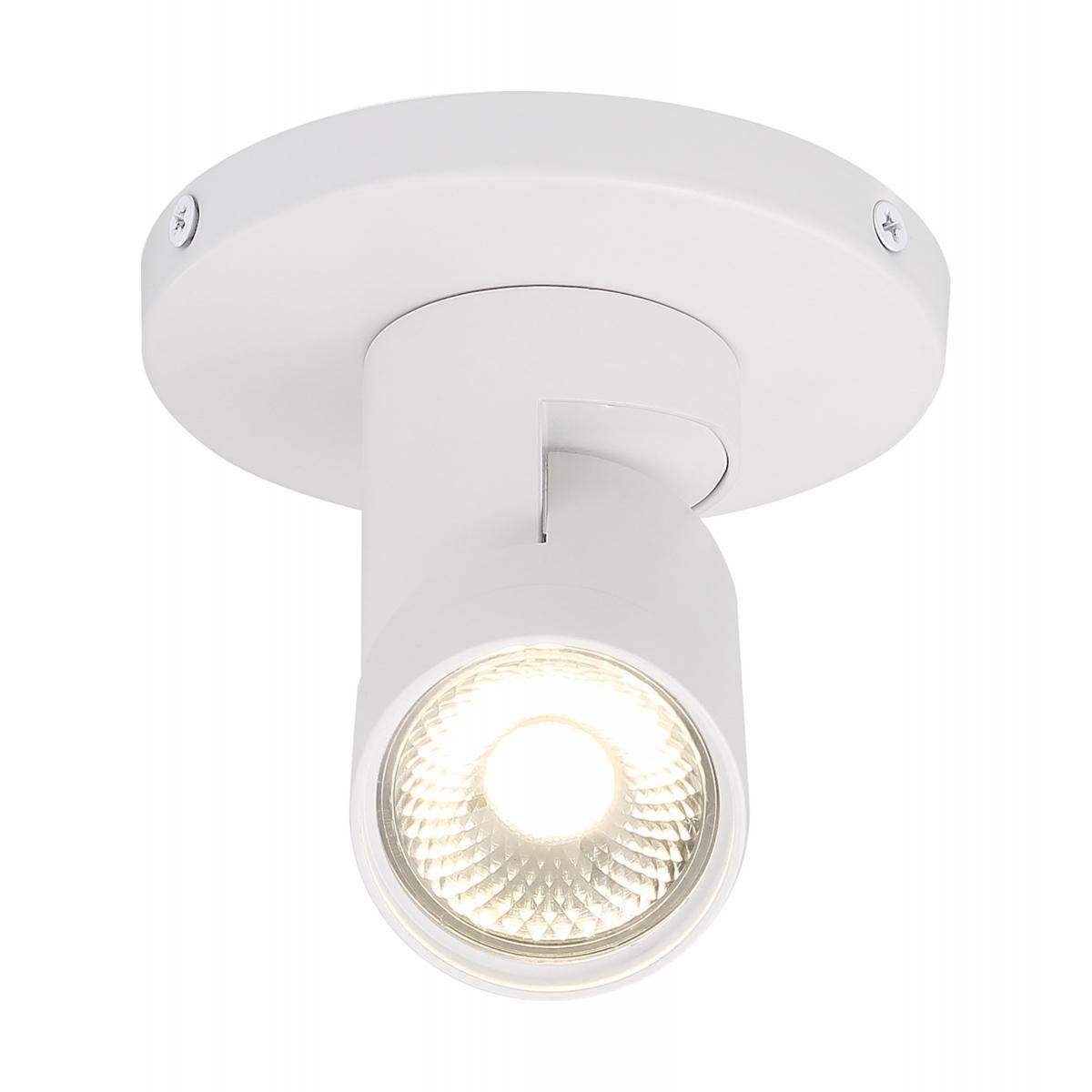 12 Watt; LED; White; Barrel; Monopoint; 3000K; 36 deg. Beam Angle - Green Lighting Wholesale