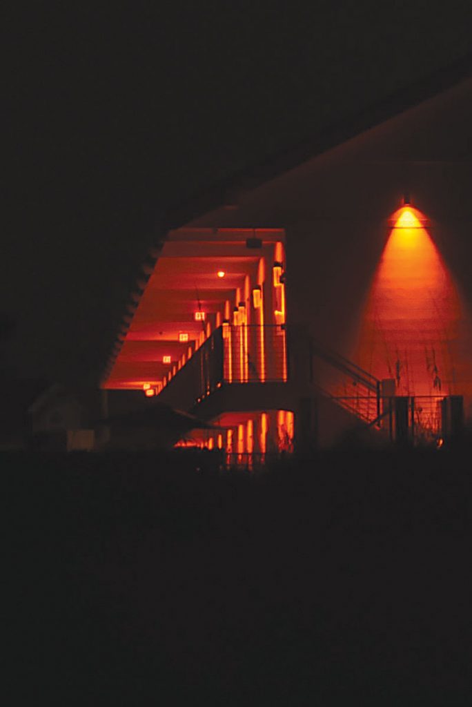 Turtle Friendly LED ED23 Lamp 25 Watt- 1800K