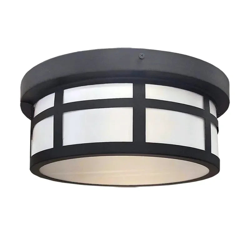 RGB 13" Outdoor/Indoor Ceiling Light, 25W