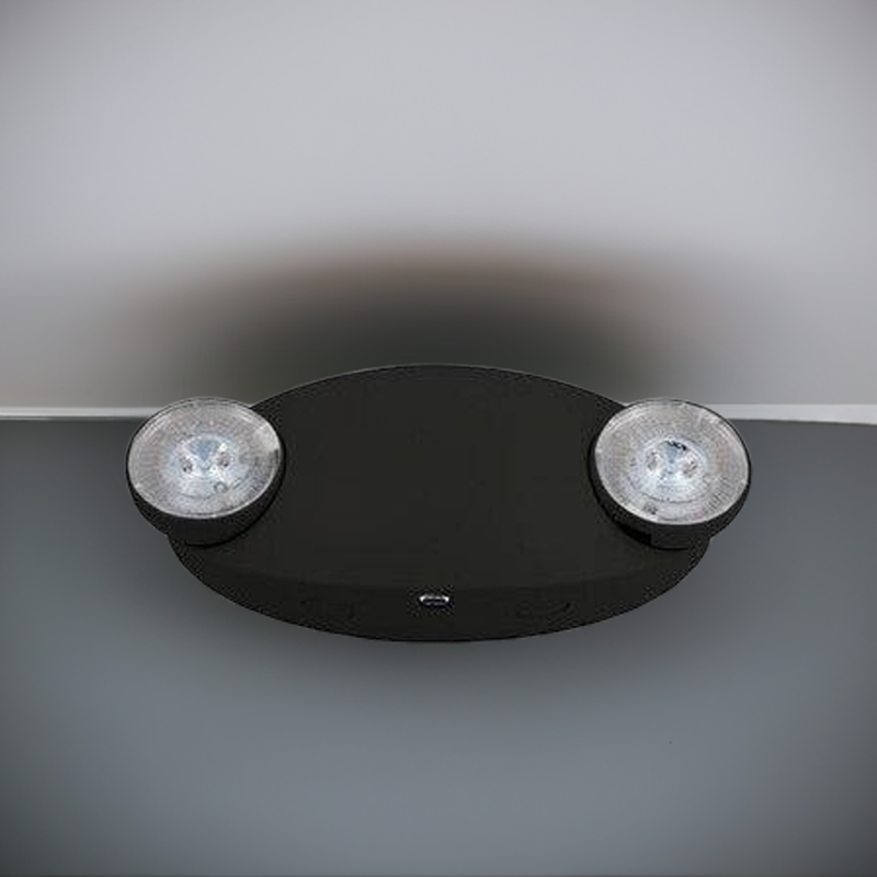 Emergency Light Black Housing