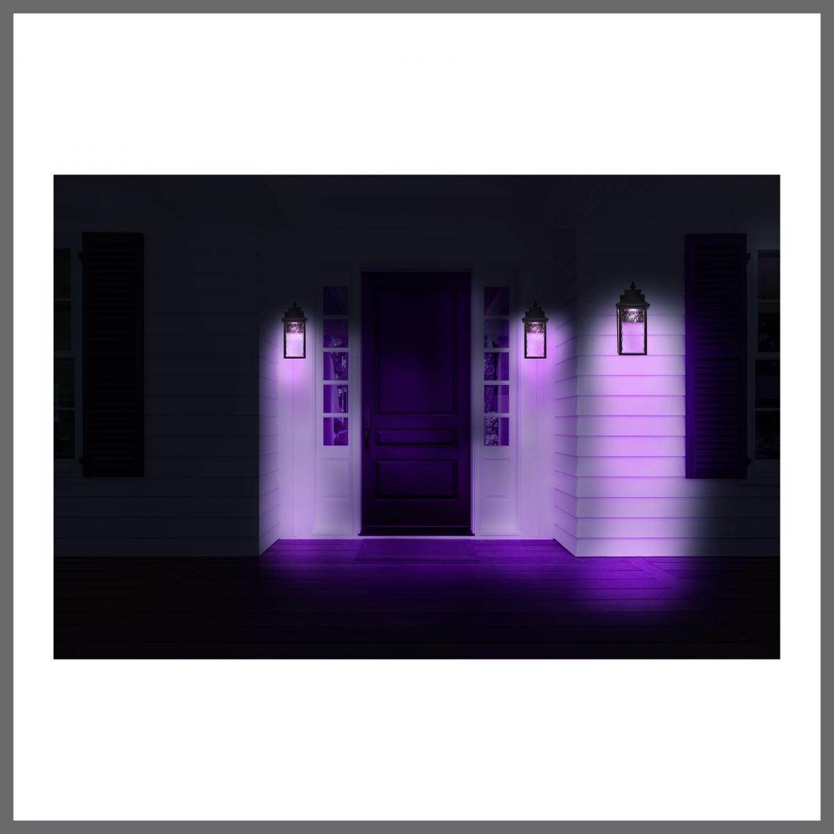 Satco Austen Collection 1-light outdoor wall fixture with LED, matte black finish, clear water glass, and RGBTW smart CCT selectable lighting.