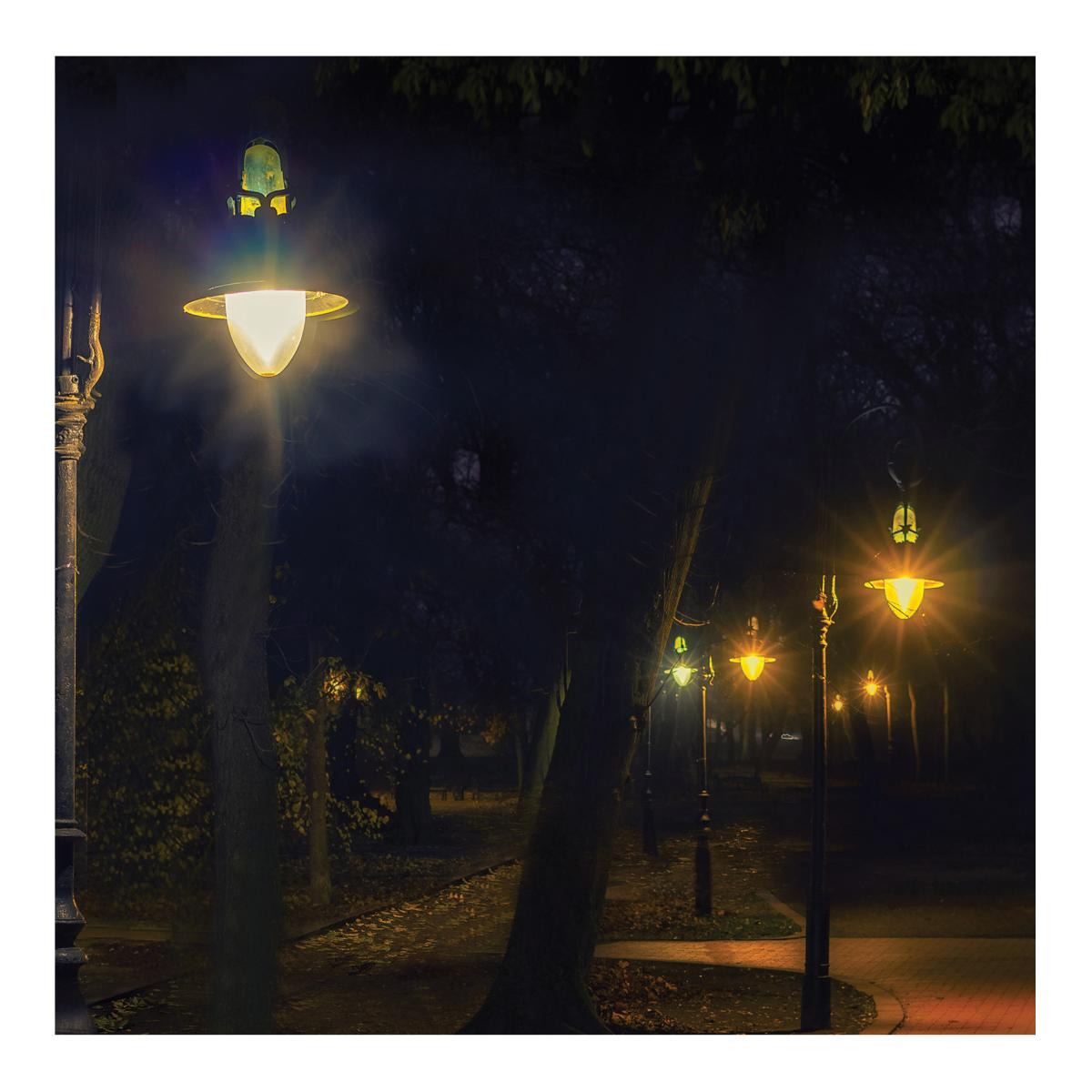 LED HID Replacement ED28 Lamp; 2200K; Clear