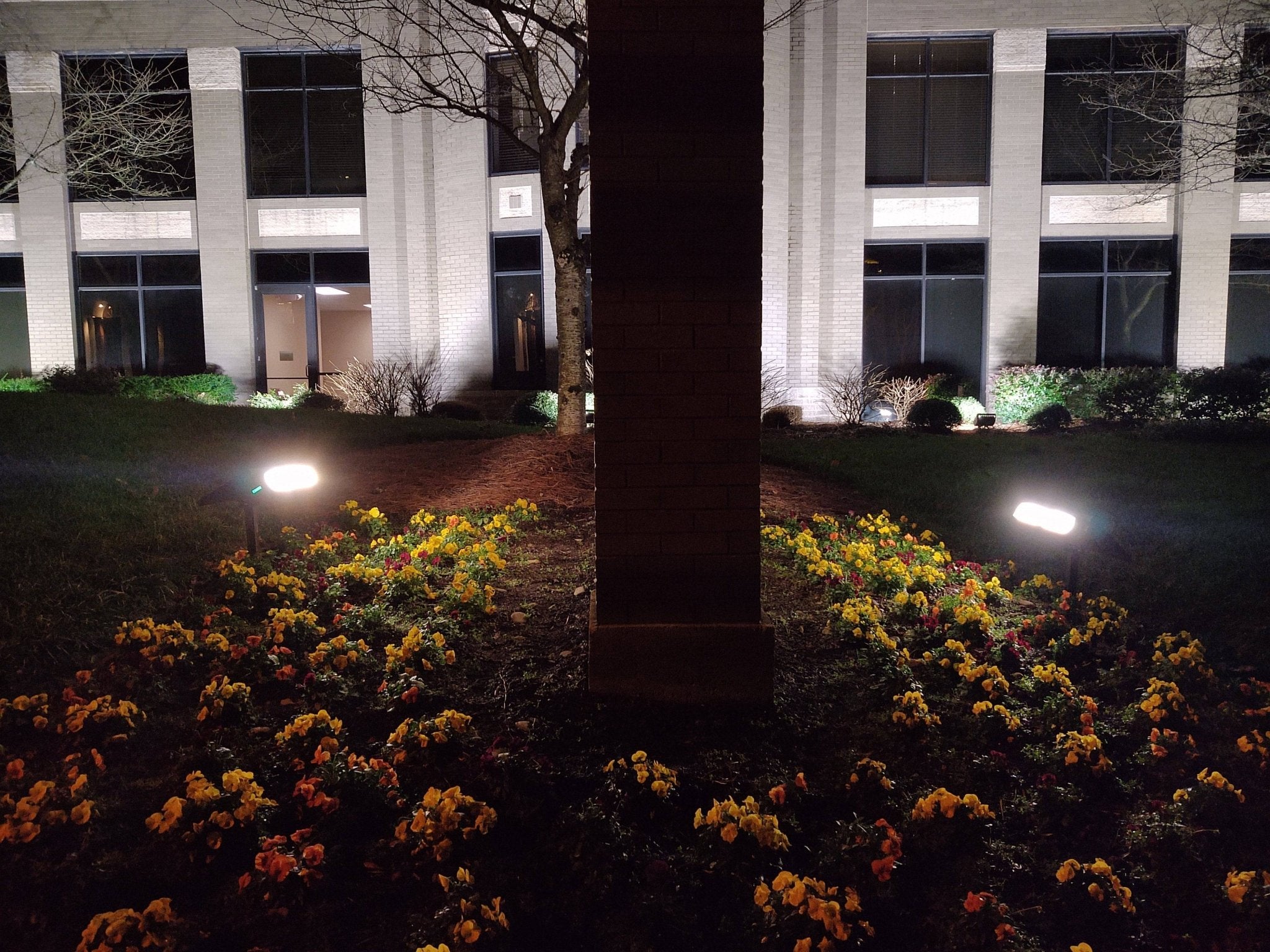 Solar LED Flood Light by Light Efficient Design, 20W, 2000 lumens, 4000K, solar powered outdoor lighting fixture